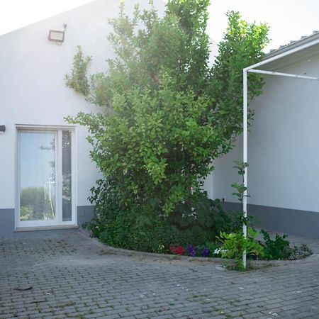 Alojamento Moinho D'Obidos Ngoại thất bức ảnh